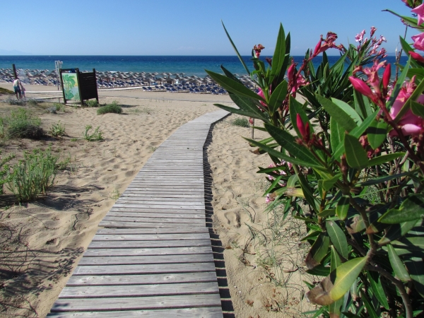 Zdjęcie z Grecji - Vassilikos - Banana beach