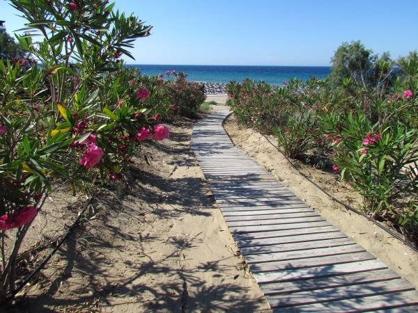 Zdjęcie z Grecji - Vassilikos - Banana beach