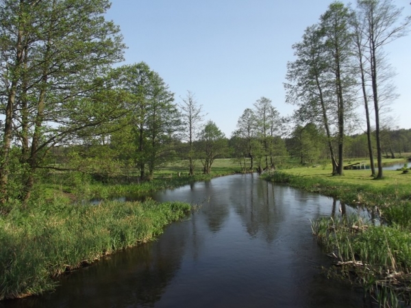 Zdjecie - Polska - Mazury