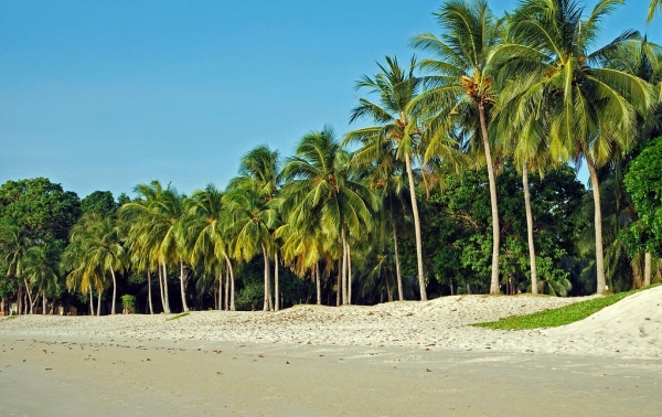 Zdjęcie z Malezji - LANGKAWI