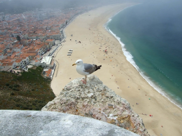 Zdjęcie z Hiszpanii - plaża w Nazare