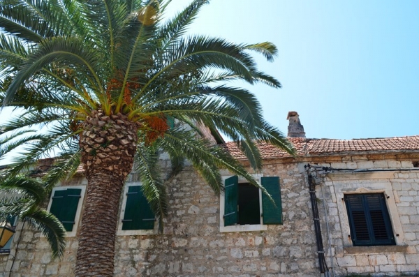 Zdjęcie z Chorwacji - WYSPA HVAR