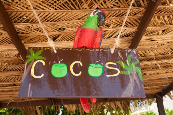 Zdjęcie z Meksyku - Punta Mita