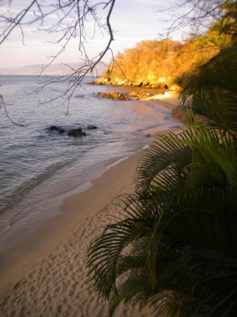 Zdjęcie z Meksyku - Puerto Vallarta