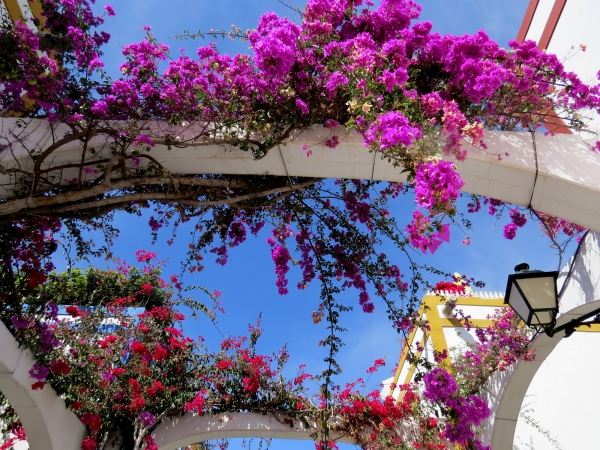 Zdjęcie z Hiszpanii - Puerto de Mogan