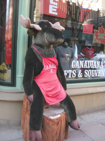 Zdjęcie z Kanady - Calgary