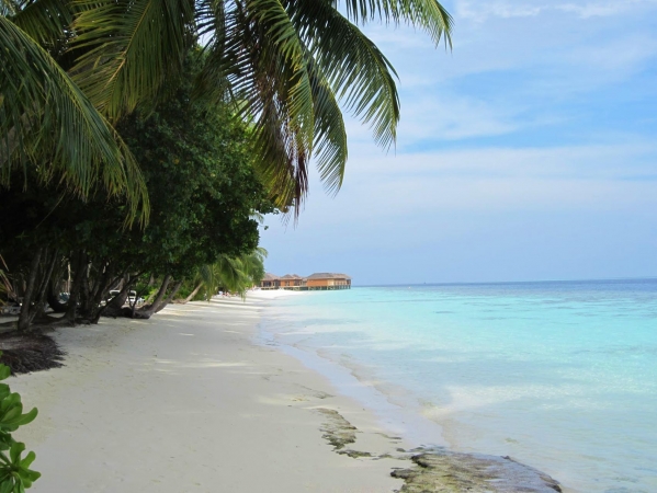 Zdjęcie z Malediw - vilamendhoo