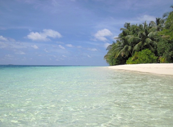 Zdjęcie z Malediw - vilamendhoo