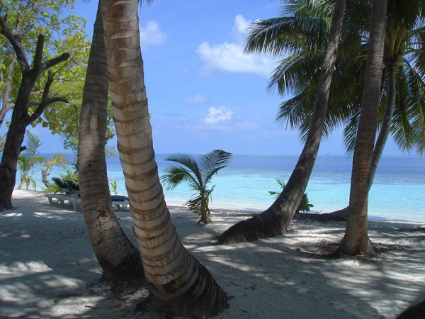 Zdjęcie z Malediw - vilamendhoo