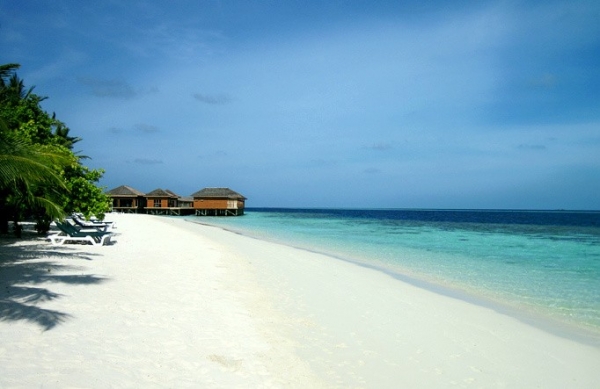 Zdjęcie z Malediw - vilamendhoo
