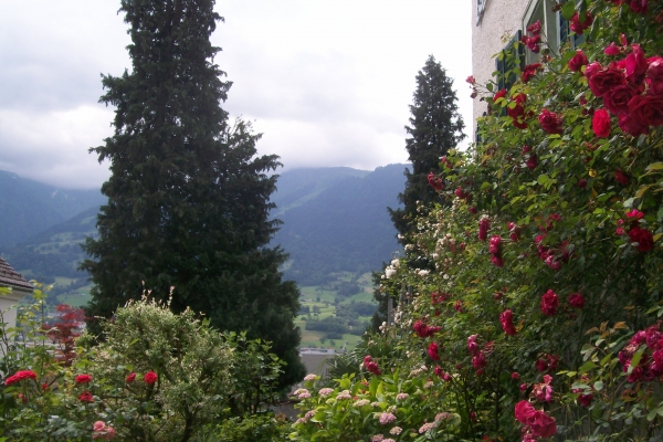 Zdjęcie z Lichtensteinu - Sargans