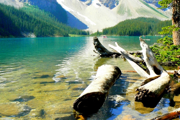 Zdjęcie z Kanady - Moraine Lake