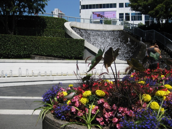 Zdjęcie z Kanady - Vancouver