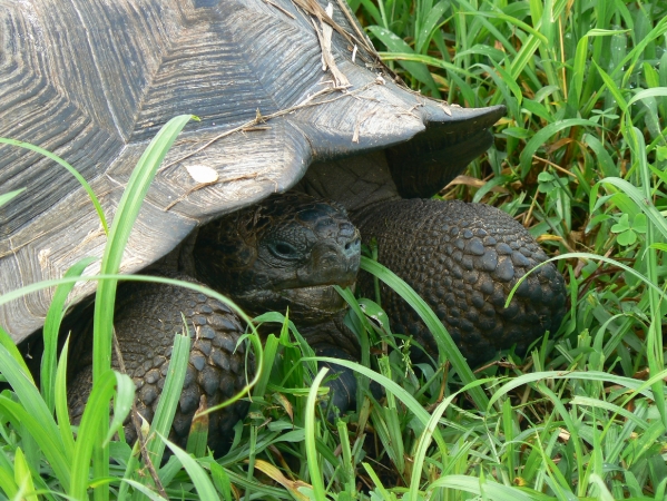 Zdjecie - Ekwador - Ekwador i Wyspy Galapagos