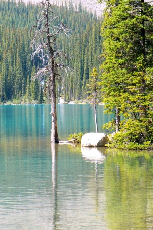 Zdjęcie z Kanady - Moraine Lake