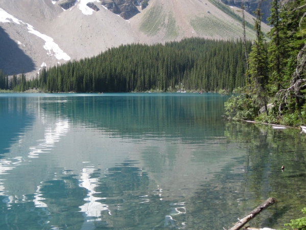 Zdjęcie z Kanady - Moraine Lake