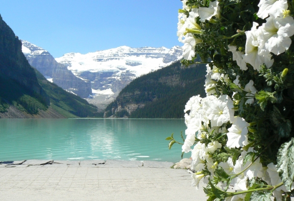 Zdjęcie z Kanady - Lake Louise