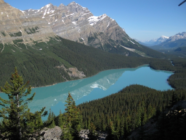 Zdjęcie z Kanady - Peyto Lake
