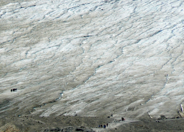 Zdjęcie z Kanady - Athabasca Glacier