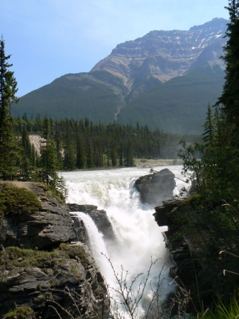 Zdjęcie z Kanady - Athabasca Falls