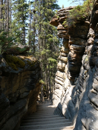 Zdjęcie z Kanady - Athabasca Falls