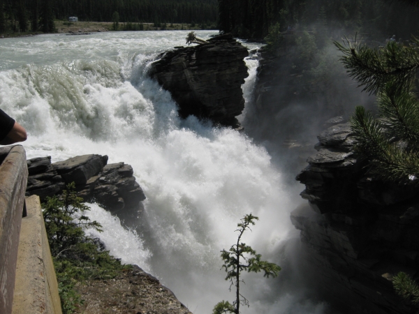 Zdjęcie z Kanady - Athabasca Falls