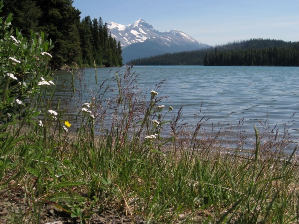 Zdjęcie z Kanady - Maligne Lake