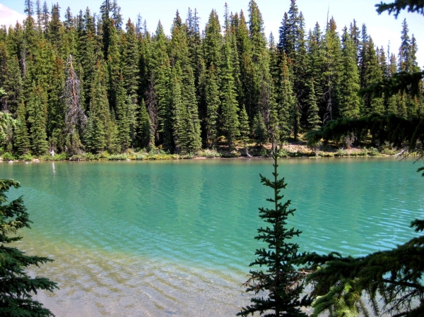 Zdjęcie z Kanady - Maligne Lake