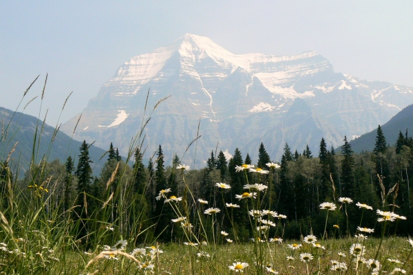 Zdjęcie z Kanady - Mt Robson