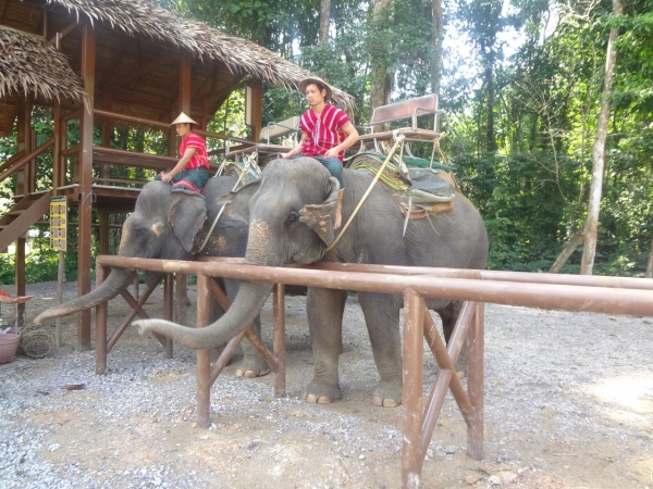 Zdjęcie z Tajlandii - Khao Sok, trekking na sloniach