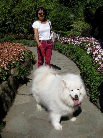 Zdjęcie z Kanady - Butchart Gardens