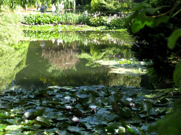 Zdjęcie z Kanady - Butchart Gardens