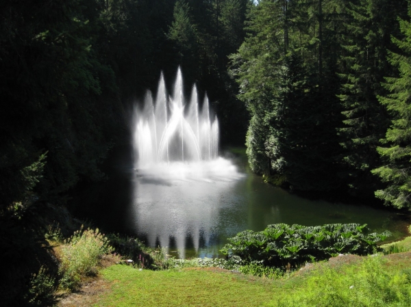 Zdjęcie z Kanady - Butchart Gardens