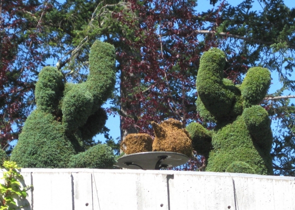 Zdjęcie z Kanady - Butchart Gardens