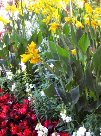Zdjęcie z Kanady - Butchart Gardens