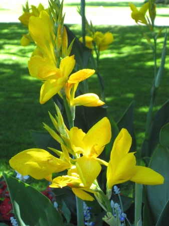 Zdjęcie z Kanady - Butchart Gardens
