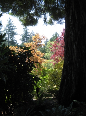 Zdjęcie z Kanady - Butchart Gardens