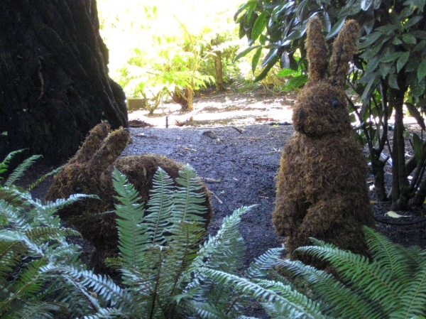 Zdjęcie z Kanady - Butchart Gardens