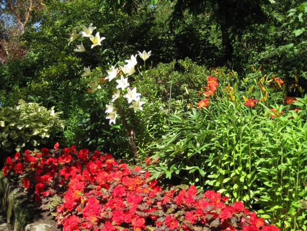 Zdjęcie z Kanady - Butchart Gardens