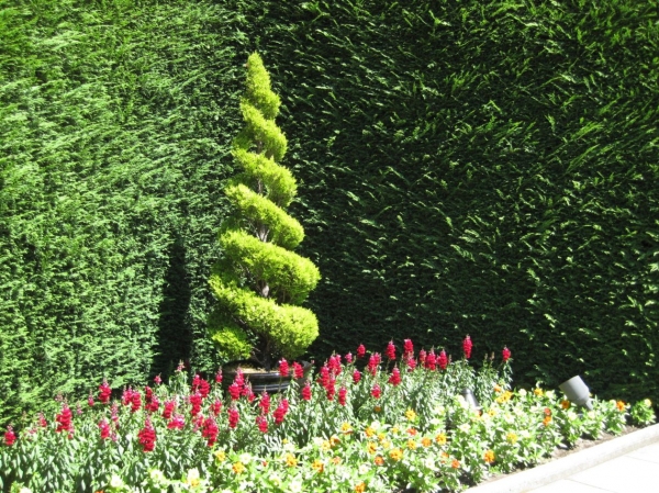 Zdjęcie z Kanady - Butchart Gardens