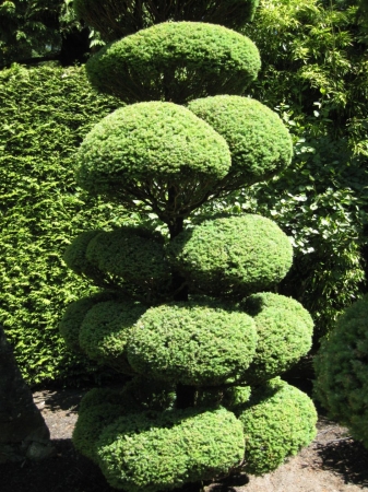 Zdjęcie z Kanady - Butchart Gardens