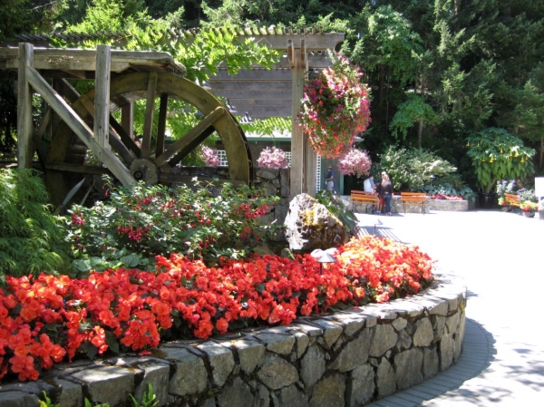 Zdjęcie z Kanady - Butchart Gardens