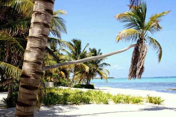 Zdjęcie z Meksyku - Tulum-tuz za hotelem 