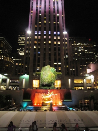 Zdjęcie ze Stanów Zjednoczonych - New York