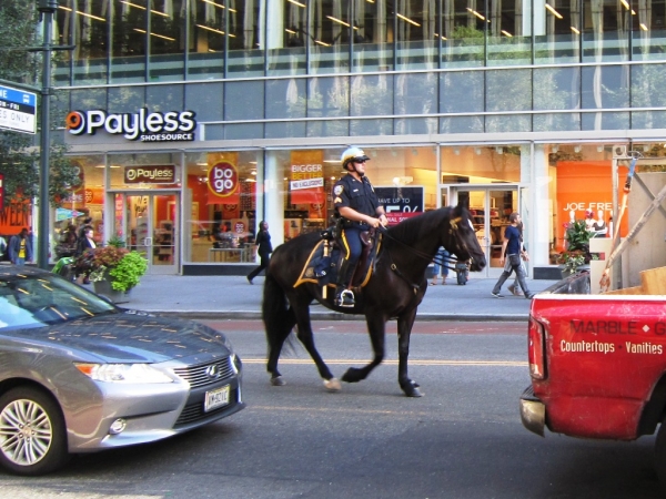 Zdjęcie ze Stanów Zjednoczonych - New York
