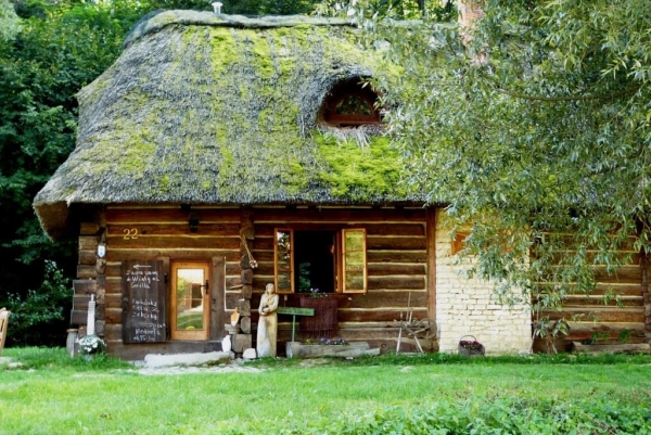 Zdjęcie z Polski - W DRODZE DO KORZENIOWEGO DOŁU