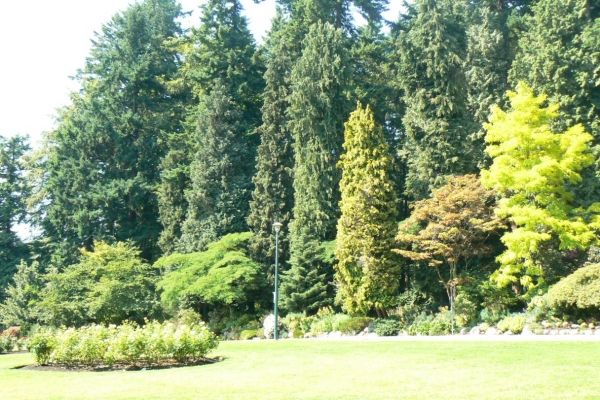 Zdjęcie z Kanady - Vancouver