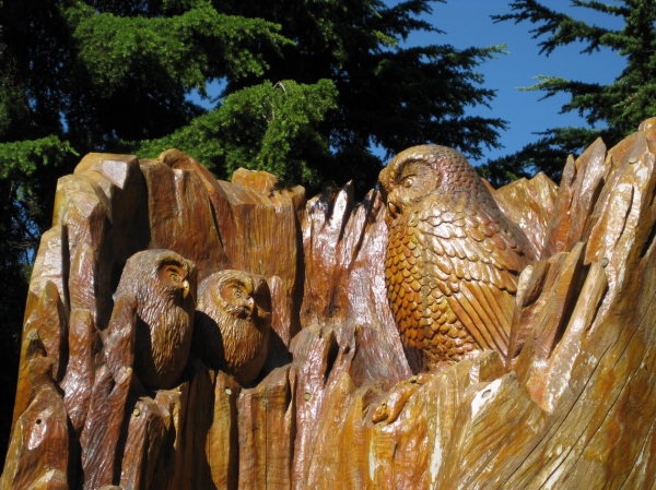 Zdjęcie z Kanady - Grouse Mountain