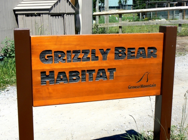 Zdjęcie z Kanady - Grouse Mountain
