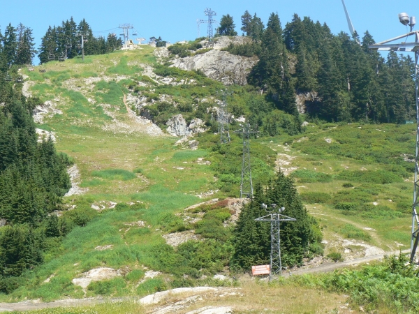 Zdjęcie z Kanady - Grouse Mt